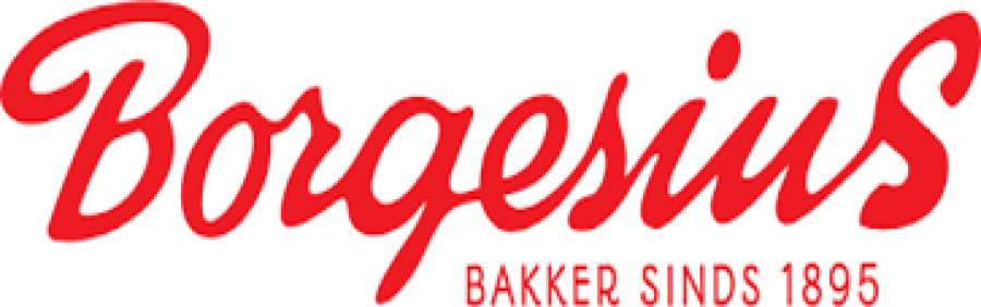 Logo Borgesius